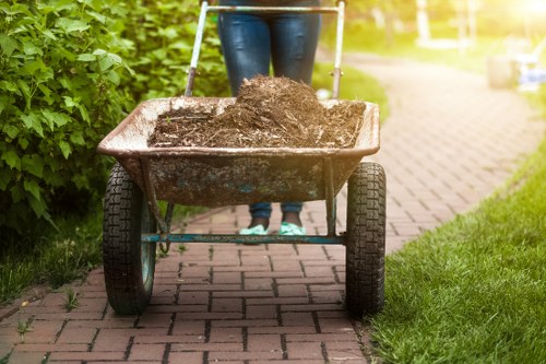 Professional gardener pruning plants